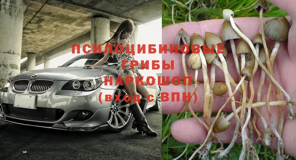 хмурый Армянск