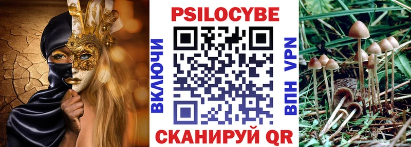 гидра ссылка Динская Галлюциногенные грибы Psilocybe